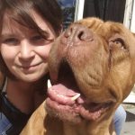 Privé hondentraining ,hondentraining Hondenschool & gedragsbegeleiding Heerenveen. Martin Gaus, Raad van beheer, Heerenveen, Kahundaz, Friesland, Groningen, Drenthe, gedragsbegeleiding