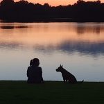 Privé hondentraining Hondenschool ,hondentraining & gedragsbegeleiding Heerenveen. Martin Gaus, Raad van beheer, Heerenveen, Kahundaz, Friesland, Groningen, Drenthe, gedragsbegeleiding