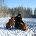 Privé hondentraining ,hondentraining Hondenschool & gedragsbegeleiding Heerenveen. Martin Gaus, Raad van beheer, Heerenveen, Kahundaz, Friesland, Groningen, Drenthe, gedragsbegeleiding