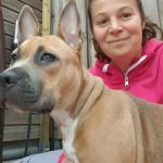 Privé hondentraining Hondenschool Esther de Vires, Hondentraining Heerenveen, Kahundaz, Friesland, Groningen, Drenthe, gedragsbegeleiding