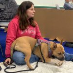 Privé hondentraining Hondenschool Esther de Vires, Hondentraining Heerenveen, Kahundaz, Friesland, Groningen, Drenthe, gedragsbegeleiding